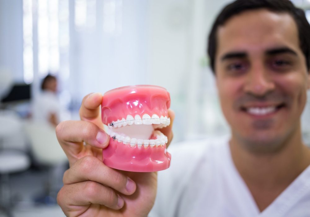 Portrait of dentist holding a set of dentures in the clinic